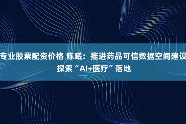 专业股票配资价格 陈曦：推进药品可信数据空间建设 探索“AI+医疗”落地