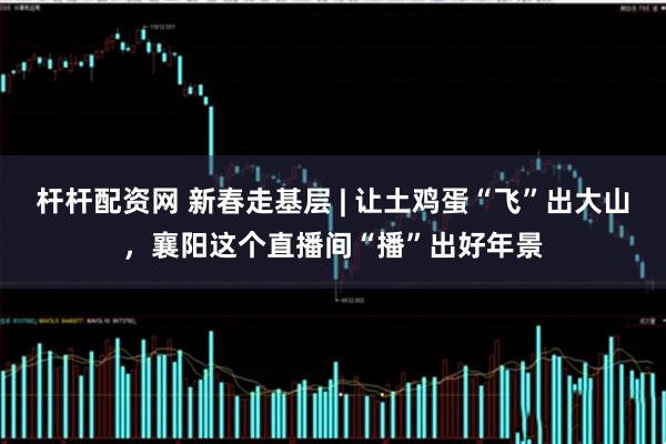 杆杆配资网 新春走基层 | 让土鸡蛋“飞”出大山，襄阳这个直播间“播”出好年景