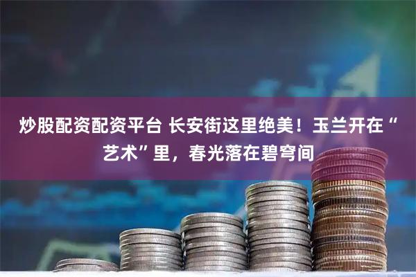 炒股配资配资平台 长安街这里绝美！玉兰开在“艺术”里，春光落在碧穹间